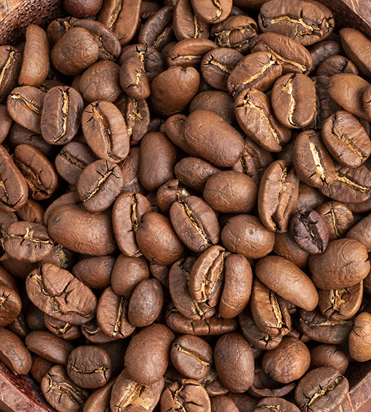 Artisanal Bread and Coffee